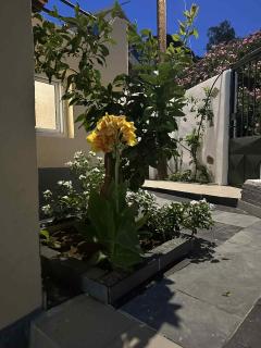 BAZAKOS LUXURY STUDIO KAMPI BEACh - 7