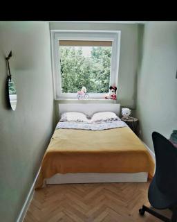 Niebiańskie gniazdko koło Starego Miasta - Danzig - 3