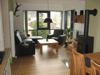 Gutsweg One - Apartment 2 - Eibenstock - 6