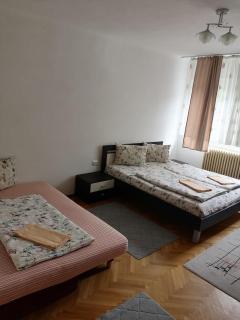 Casă de oaspeți ORSO - Sovata - 4