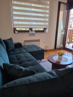 Apartman & Spa Zlatiborske zore - 9