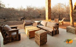Leadwood Marloth, Wildlife on your doorstep ! - Marloth Park - 3