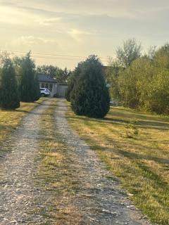La Izvoare Pensiune-Păstrăvărie - Sâmbăta de Sus - 5