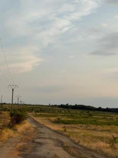 Conacul Vânătorului - - 5