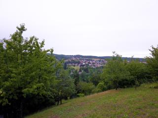 Šumska Bajka - Orahovica - 4