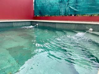 Casa Piscina & Sol - 4