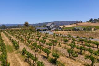 Coplan Vineyards by AvantStay 10-Acre Estate w Pool Spa Bocce Designer Interiors - 9