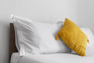 Welcoming 1 Bedroom Apartment - Fountain Park - Edinburgh - Edinburgh - 2