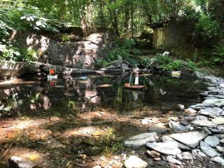 Maison de campagne Les loirs - 7