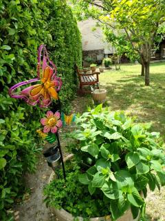 Vacation home for up to 6 people - Alzonne - 1