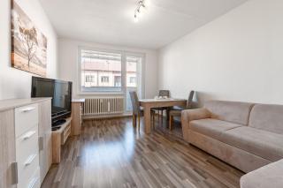 Apartment Kovářská, view of Klínovec - 8