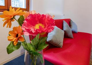 Hostly-La Casa sul Serchio-Close to Lucca and Pisa - 7