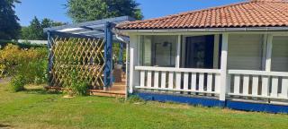 Joli chalet exotique à Biscarrosse-Lac - 4