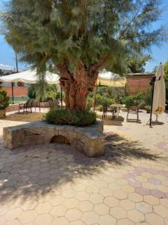 Ianos Living Spaces - 02 - Korinthos - 9