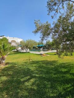 Villa hammamet - 7
