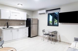 Fully Renovated Beachside with Oceanview 1 Bedroom Unit 7 - 7