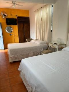 Hotel Na-anché Aeropuerto - Città di Oaxaca - 6