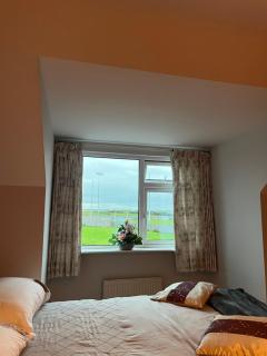 The Coastal Lane - 1