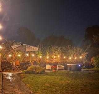 Beechtree Chalet - 4