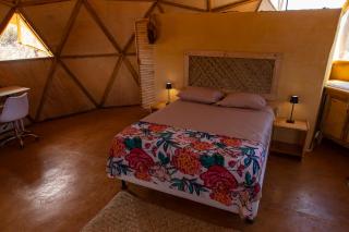 Cactus Lodge Baja - - 5