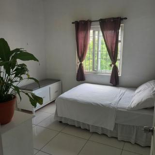 Blue House on the Terrace - Gros Islet - 7