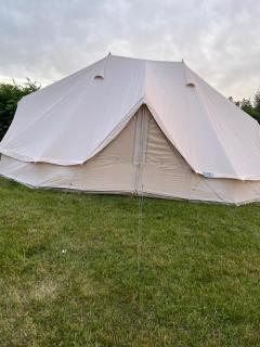Wildside Camping & Glamping - Ashford - 9