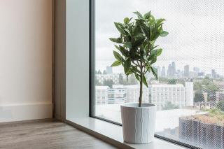 Student Only Bronze Studio Mid Level at Kings Cross - London - 5