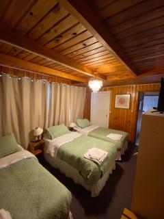 Hotel Elizabeth - Coñaripe - 2