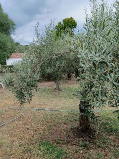 The Pirazzolu Retreat School - - 3