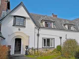 Ivy-W40854 - Llanddona - 0