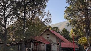 Lion king cabin woods - 5