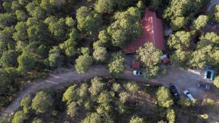 Lion king cabin woods - - 4