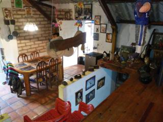 Lion king cabin woods - - 3