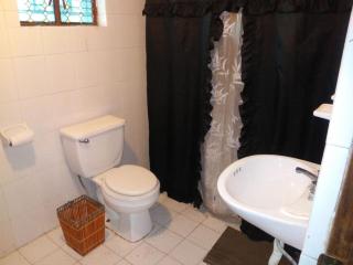 Lion king cabin woods - - 1