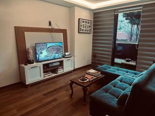 Luxury one bedroom apartment, high amenities - 0