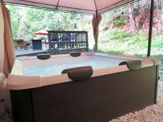 Brookfield Lakeside Oasis - Brookfield - 9