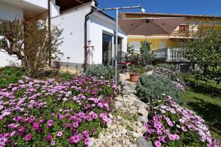 Apartments with parking space Suha Punta, Rab - 17239 - 4
