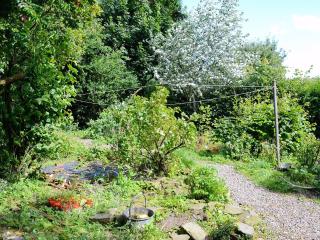 The Cottage - Saint Cyrus - 1