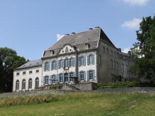 Luxurious castle in Marchin with infrared sauna - Tharoul - 5