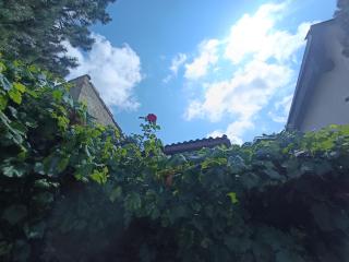 Pension Archa Mikulov - 3