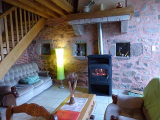 Gîte en pleine nature avec Wifi, animaux acceptés - FR-1-489-122 - 1