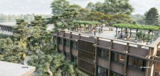 Jambuluwuk Bromo Poshtel - Pasuruan - 9