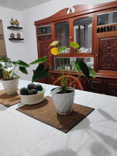 Colibri Hostel - 0