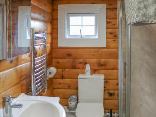 Babbling Brook Lodge - Trawsfynydd - 7