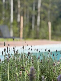 Recanto da C’Alma - 7