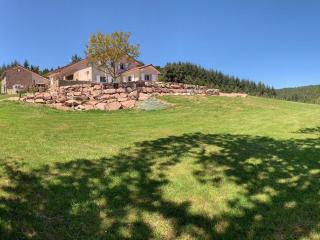 Gîte 4 pers, terrasse & jardin, près des Bois Noirs - FR-1-496-348 - Saint-Priest-la-Prugne - 3