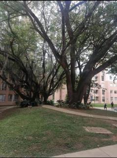 Moderno Apto con vista verde - 9