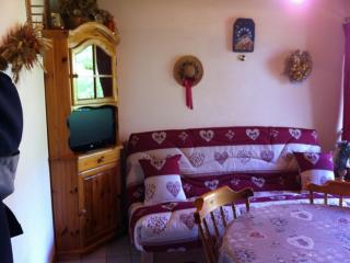 Appartement à deux pas des pistes, parking inclus - FR-1-733-170 - Crest-Voland - 0