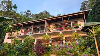 Minca Sintropia - Sustainable Lodge & Organic Coffee Finca - Minca - 1