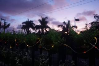 Kua's Pad Tagaytay - 7